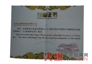 文通集團榮膺全球煙花行業(yè)影響力十大原料企業(yè)殊榮